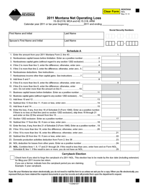 Montana Net Operating Loss Form