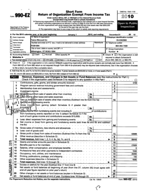 Form 990-EZ Tax Return