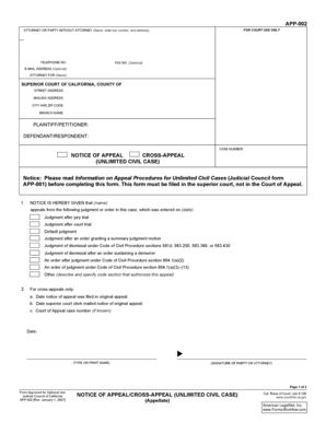 Notice of Appeal Cross-Appeal Unlimited Civil Case