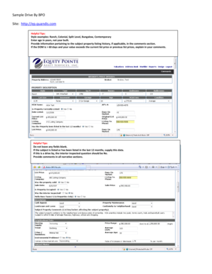 Sample Drive By BPO Form