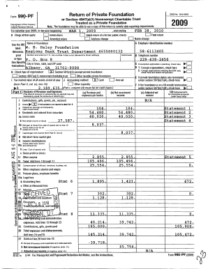 IRS Form 990-PF 2009
