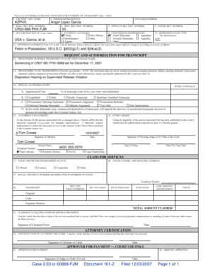 Criminal Justice Act Transcript Authorization