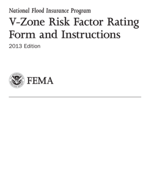 V-Zone Risk Factor Rating Form