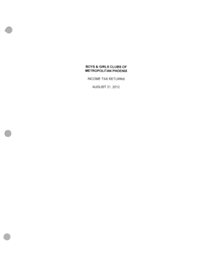 Boys & Girls Clubs of Metropolitan Phoenix Tax Return