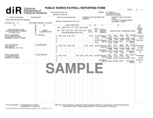 California Public Works Payroll Reporting Form