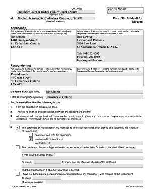 Ontario Divorce Affidavit Form 36