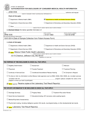 Form preview picture