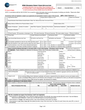 Visa Business Credit Card Application