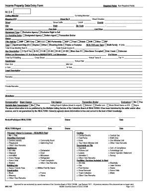 Income Property Data Entry Form