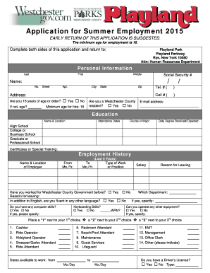 Form preview picture