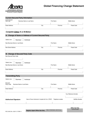 Global Financing Change Statement Form 11