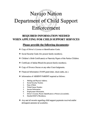 Navajo Nation Child Support Application