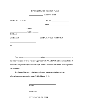 Complaint for Visitation