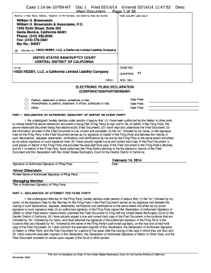 US Bankruptcy Court Voluntary Petition