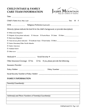 Child Intake and Family Care Team Information Form