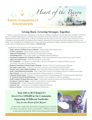 Bayou Community Foundation Donation Form