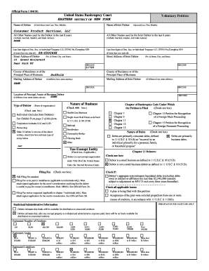 US Bankruptcy Court Voluntary Petition