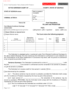 Georgia Felony Sentence With Probation