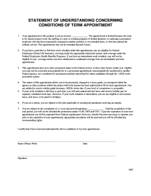 US Federal Term Appointment Statement of Understanding