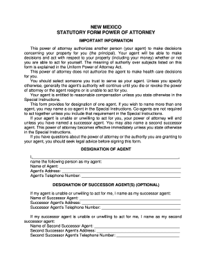 New Mexico Statutory Power of Attorney Form