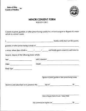 Ohio Minor Motor Vehicle Consent Form