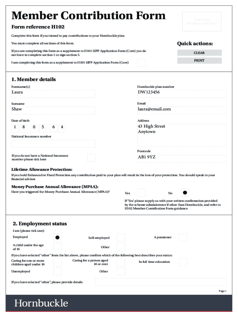 Form preview