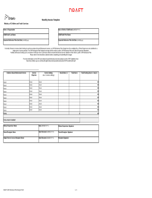 OAP Behaviour Plan Budget Form