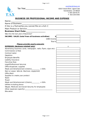 Business Income and Expense Form