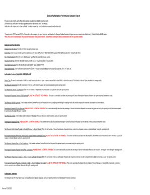 Service Authorization Performance Outcome Report