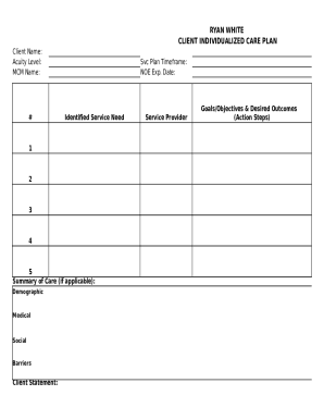 Ryan White Client Individualized Care Plan