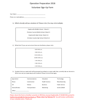 Form preview