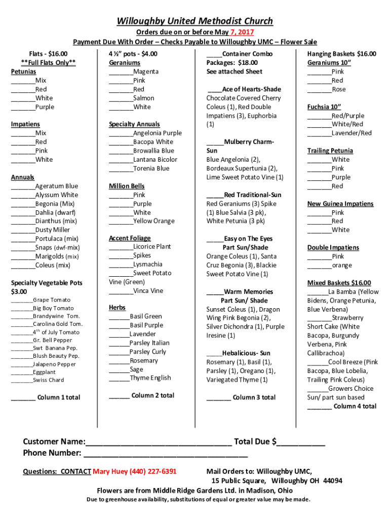 Form preview