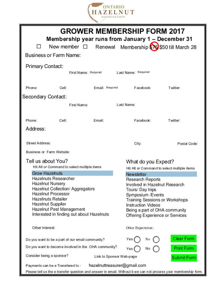 Form preview