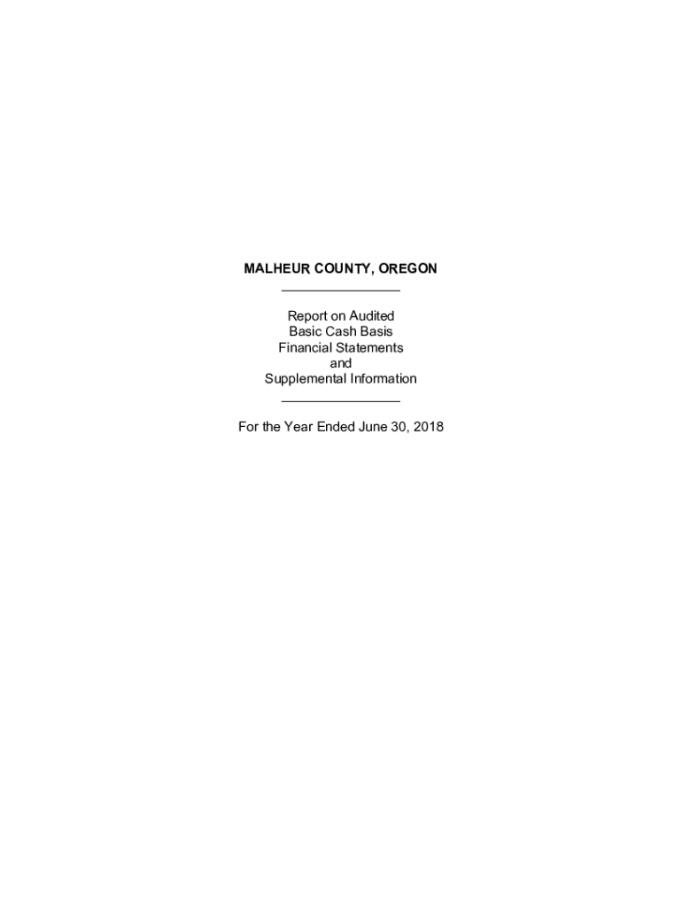 Fillable Online MALHEUR COUNTY, OREGON Basic Cash Basis For the Year