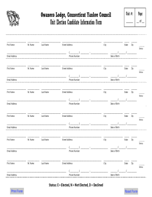 Form preview