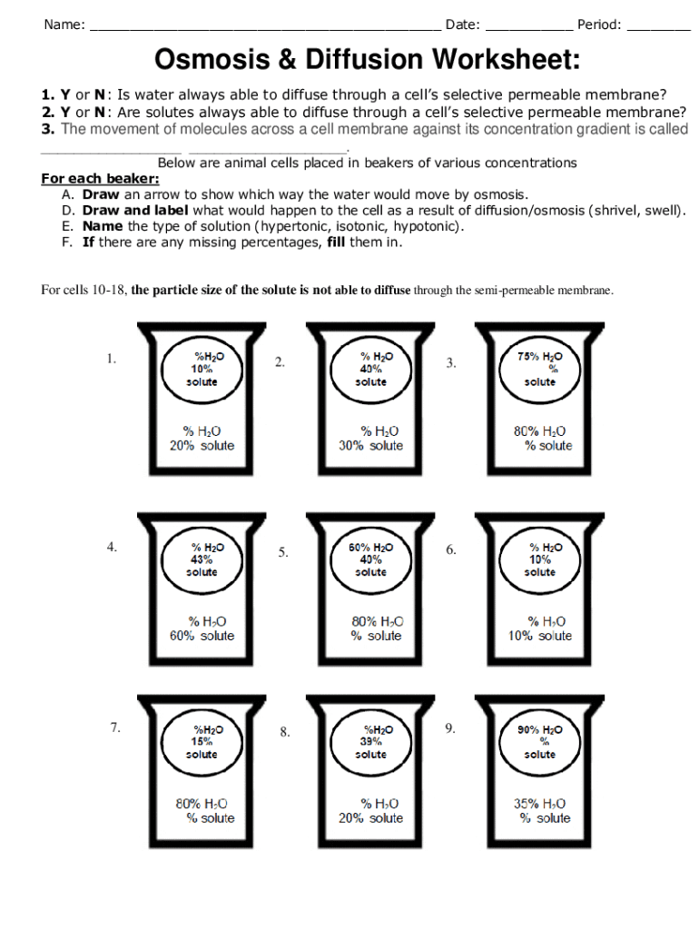 Osmosis Diffusion Worksheet Fill Online Printable Fillable Blank PdfFiller