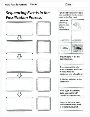 How Fossils Form- Sequencing Activity USA