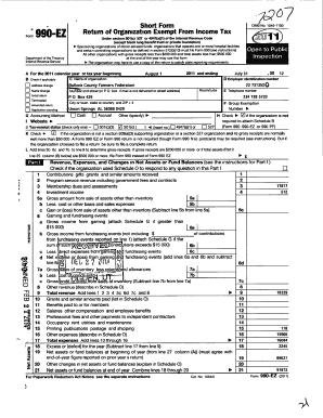 Form 990-EZ Tax Return