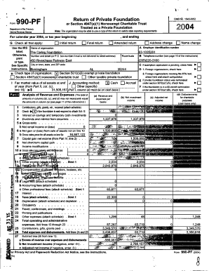 Form 990-PF 2004