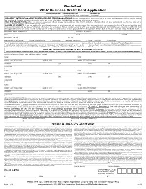 VISA Business Credit Card Application