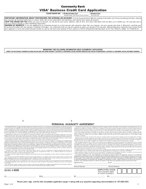 VISA Business Credit Card Application