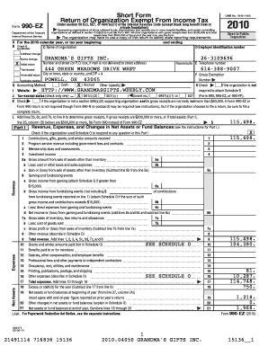 IRS Form 990-EZ 2010