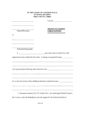 Motion to Modify Child Support