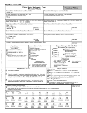 US Bankruptcy Court Voluntary Petition