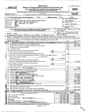 IRS Form 990-EZ