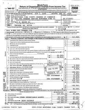 Form 990-EZ Tax Return