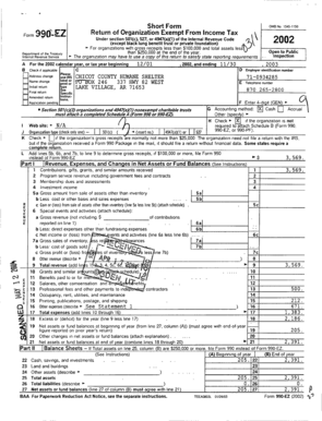 Form 990-EZ Tax Return