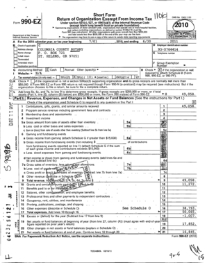 Form 990-EZ Tax Return