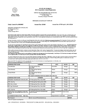 Georgia Corporation Annual Registration