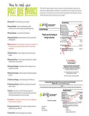 Arvig Invoice Template